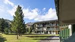 ExteriorSummer - Ferienwohnung für 7 Personen (35 m²) - Top-Hundeurlaub