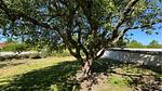 outside - Ferienhaus für 6 Personen (136 m²) - Top-Hundeurlaub