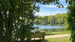 Aussicht vom Ferienhaus [Sommer] - Ferienhaus für 5 Personen (50 m²) - Top-Hundeurlaub