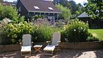 exterior - Ferienwohnung für 4 Personen (60 m²) in Wissenkerke - Top-Hundeurlaub