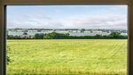 view-from-room - Ferienhaus für 9 Personen (150 m²) - Top-Hundeurlaub