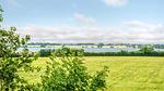 view-from-room - Ferienhaus für 9 Personen (150 m²) - Top-Hundeurlaub