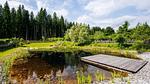 Ausstattung und Service des Ferienparks - Ferienhaus für 6 Personen (95 m²) - Top-Hundeurlaub