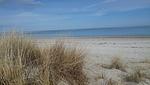 Strand - Ferienhaus Ostseeoase - Top-Hundeurlaub