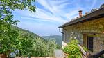 view-from-room - Ferienhaus für 6 Personen (120 m²) - Top-Hundeurlaub
