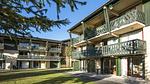ExteriorSummer - Ferienwohnung für 3 Personen (17 m²) - Top-Hundeurlaub