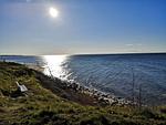 Hof am Meer "Seeperle" - Top-Hundeurlaub