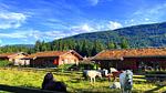 Direkte Umgebung [Sommer] (<1 km) - Ferienhaus für 5 Personen (70 m²) - Top-Hundeurlaub