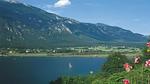 In der Region [Sommer] (>5 km) - Ferienhaus für 5 Personen (70 m²) - Top-Hundeurlaub