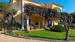 ExteriorSummer - Ferienwohnung für 5 Personen (44 m²) - Top-Hundeurlaub