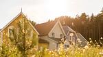 ExteriorSummer - Ferienwohnung für 5 Personen (35 m²) - Top-Hundeurlaub
