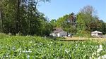 outside - Ferienhaus für 5 Personen (50 m²) in Nexø - Top-Hundeurlaub
