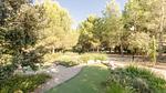 GardenSummer - Ferienwohnung für 7 Personen (37 m²) - Top-Hundeurlaub