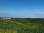 Landschaft - BeachHus 35, Whg.1 - Top-Hundeurlaub