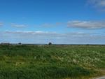 Landschaft - BeachHus 35, Whg.3 - Top-Hundeurlaub