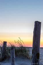 Strand - Studio 35 - Top-Hundeurlaub