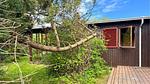 outside - Ferienhaus für 4 Personen (79 m²) - Top-Hundeurlaub