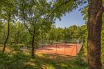 Villa Dreamlike - Top-Hundeurlaub