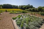 Villa Dreamlike - Top-Hundeurlaub