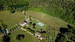 Villa Dreamlike - Top-Hundeurlaub