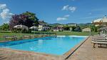 Villa Dreamlike - Top-Hundeurlaub