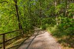 Villa Dreamlike - Top-Hundeurlaub