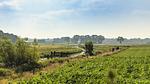 ViewSummer - Bungalow für 4 Personen (65 m²) in Zuna - Top-Hundeurlaub