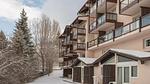 ExteriorWinter - Ferienwohnung für 5 Personen (48 m²) - Top-Hundeurlaub