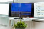 TV / Multimedia - 1012 - Top-Hundeurlaub