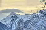 Berge - Apartment Gletscherblick 2 - Top-Hundeurlaub