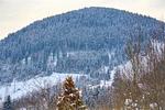 Landschaft - Appartement Konstanzia - Top-Hundeurlaub