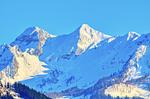 Berge - Appartement Konstanzia - Top-Hundeurlaub