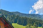 Landschaft - Apartment Antonia - Top-Hundeurlaub