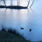 Bungalow kleine Auszeit - Top-Hundeurlaub