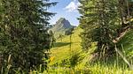 Untagged - Ferienhaus für 6 Personen (65 m²) - Top-Hundeurlaub