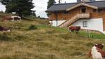 Untagged - Ferienhaus für 6 Personen (67 m²) - Top-Hundeurlaub