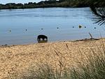 12-Personen-Villa BeachLife Nr. 318 - Top-Hundeurlaub