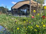 Chalet Havenlicht No. 558 - Top-Hundeurlaub