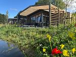 Chalet Havenlicht No. 558 - Top-Hundeurlaub