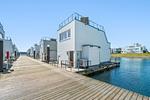 Hauptansicht - An Bord 2 - Top-Hundeurlaub
