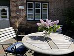 Terrasse - Kiebitz - Top-Hundeurlaub