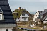 Nachbarschaft - Haus Heidehörn App. 7 - Top-Hundeurlaub