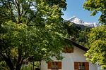 Alpennest  - Top-Hundeurlaub