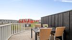 Outdoor - Ferienhaus für 7 Personen (97 m²) - Top-Hundeurlaub