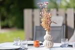 Dekoratives Detail - Ferienhaus "Ankerplatz OT6" Ostertill 06 - Top-Hundeurlaub