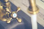 Haubarg Ossenhoff Appartement Buernhus - Top-Hundeurlaub