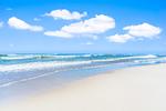 Strand - Villa Strandblick 3 - Top-Hundeurlaub