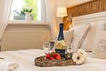 Dekoratives Detail - Ostseeklang - Top-Hundeurlaub