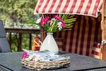 Dekoratives Detail - Ostseeklang - Top-Hundeurlaub