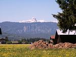 Alpen-Wohnung Garmisch-Partenkirchen - Top-Hundeurlaub
